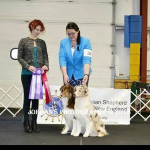 Meet your Posher, Abby